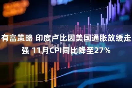 有富策略 印度卢比因美国通胀放缓走强 11月CPI同比降至27%
