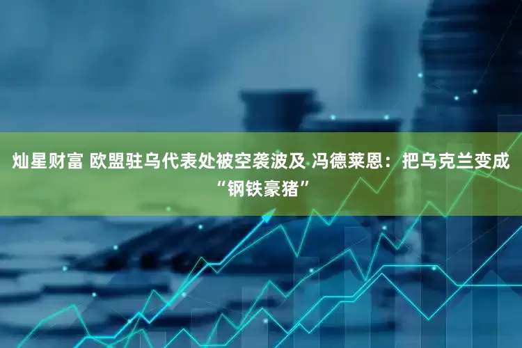 灿星财富 欧盟驻乌代表处被空袭波及 冯德莱恩：把乌克兰变成“钢铁豪猪”